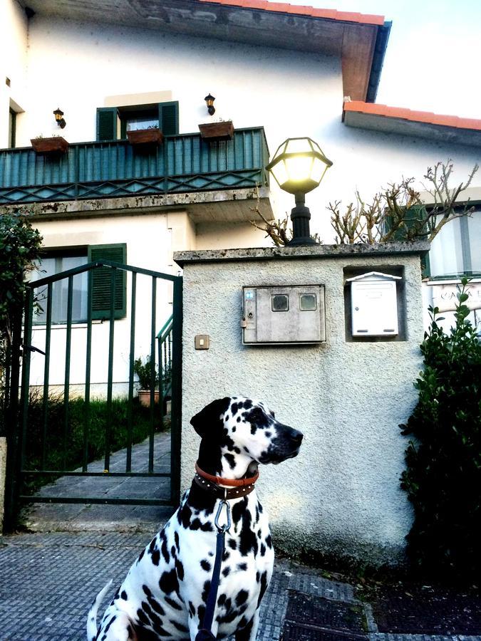 فندق Casa Elita Larrasoana المظهر الخارجي الصورة